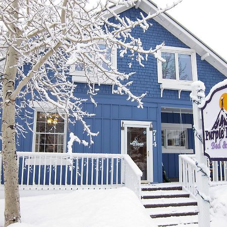 Purple Mountain Bed & Breakfast & Spa 마운트크레스티드부트 외부 사진